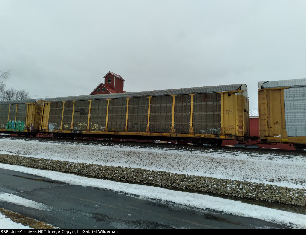 NS 171672 is new to RRPA!